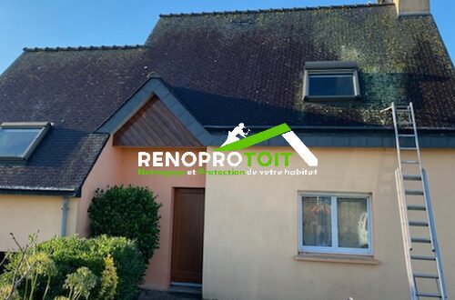 nettoyage-demoussage-toiture-morbihan-avant