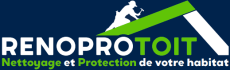 logo-renoprotoit